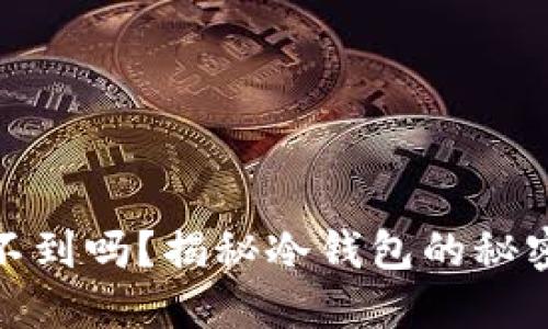 冷钱包查不到吗？揭秘冷钱包的秘密与安全性