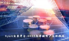 Bybit交易平台：2023年中国
