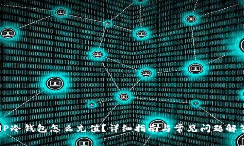 HP冷钱包怎么充值？详细指南与常见问题解答