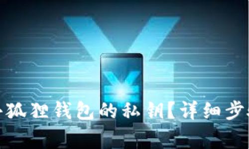 : 如何查看小狐狸钱包的私钥？详细步骤与注意事项