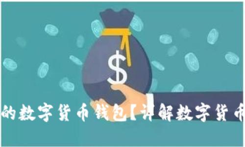 如何选择适合自己的数字货币钱包？详解数字货币钱包的种类与使用