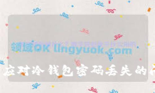 如何应对冷钱包密码丢失的问题？