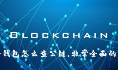 : 冷钱包怎么查公链，非常