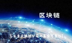 怎么查区块链公司的真实