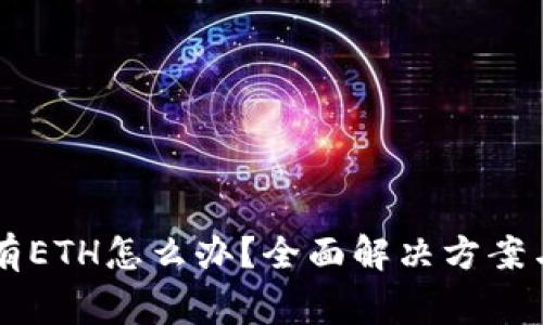 以太坊钱包没有ETH怎么办？全面解决方案与常见问题解析
