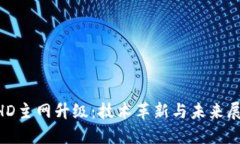 BHD主网升级：技术革新与