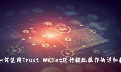 : 如何使用Trust Wallet进行提