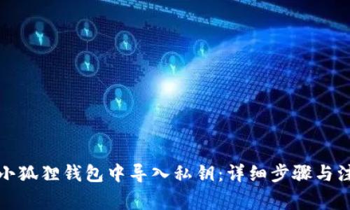 如何在小狐狸钱包中导入私钥：详细步骤与注意事项