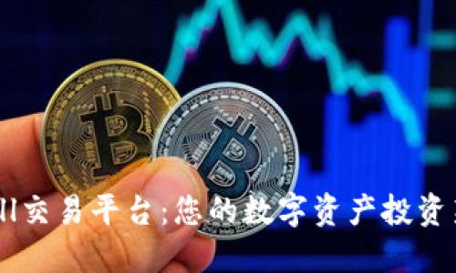 Bitbull交易平台：您的数字资产投资新选择