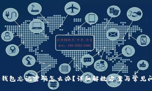 RCPC冷钱包忘记密码怎么办？详细解救方案与常见问题解析