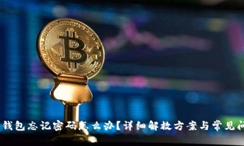 RCPC冷钱包忘记密码怎么办？详细解救方案与常见问题解析