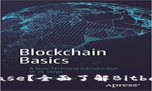 什么是Bitbase？全面了解Bitbase中文官网