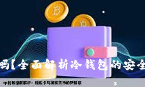 : 冷钱包安全吗？全面解析冷钱包的安全性与使用技巧