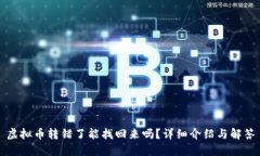 虚拟币转错了能找回来吗？详细介绍与解答