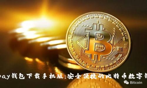 Copay钱包下载手机版：安全便捷的比特币数字钱包