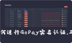 完整指南：如何进行GoPa