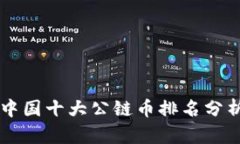 中国十大公链币排名分析