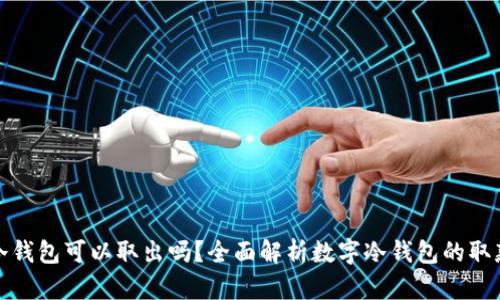 数字冷钱包可以取出吗？全面解析数字冷钱包的取款功能