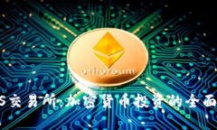BTCS交易所：加密货币投资的全面指南