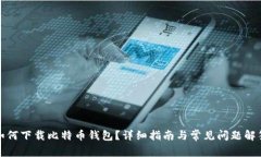 如何下载比特币钱包？详细指南与常见问题解答