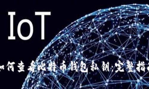 如何查看比特币钱包私钥：完整指南