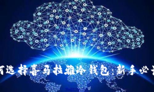 : 如何选择喜马拉雅冷钱包：新手必读指南