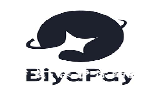 探秘比特币钱包下载：保护你的数字财富的第一步