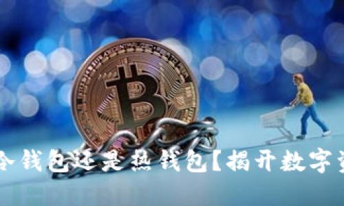 TokenPocket：冷钱包还是热钱包？揭开数字资产安全的秘密