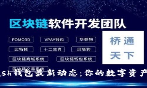 揭秘Kcash钱包最新动态：你的数字资产安全吗？