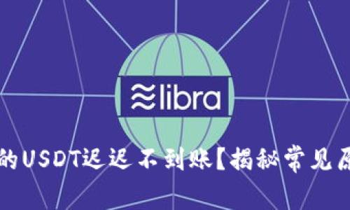 为什么你购买的USDT迟迟不到账？揭秘常见原因与解决方案