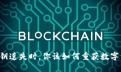 当比特派私钥遗失时，你该如何重获数字资产的