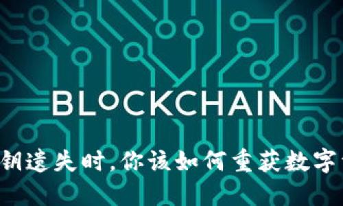 当比特派私钥遗失时，你该如何重获数字资产的希望？