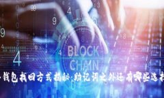 冷钱包找回方式揭秘：助记词之外还有哪些选择