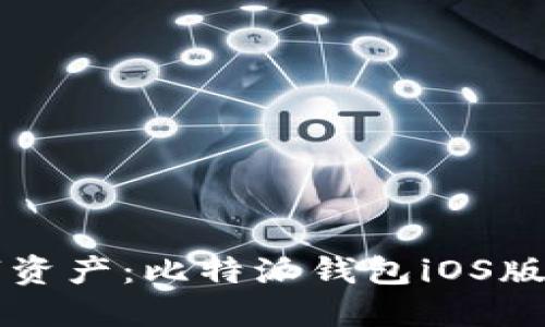 解锁您的数字资产：比特派钱包iOS版最新下载指南