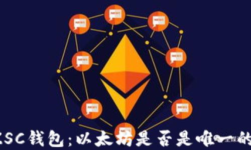 
解密ZSC钱包：以太坊是否是唯一的选择？