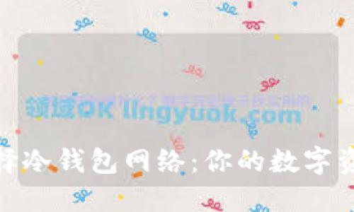 如何安全选择冷钱包网络：你的数字资产保护之道