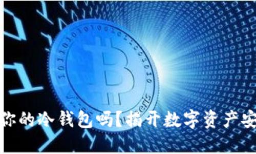 优盘能成为你的冷钱包吗？揭开数字资产安全的新选择