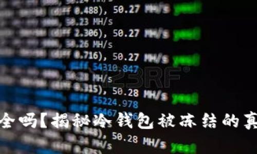 冷钱包真的安全吗？揭秘冷钱包被冻结的真相与保护措施