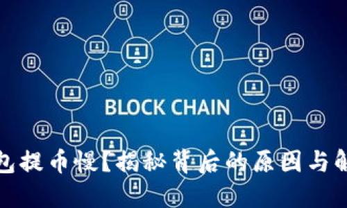 冷链钱包提币慢？揭秘背后的原因与解决方案