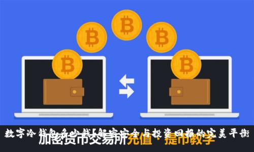 数字冷钱包多少钱？解密安全与投资回报的完美平衡