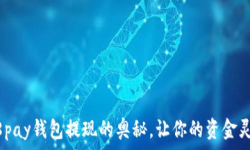   
揭秘988pay钱包提现的奥秘，让你的资金灵活流动！