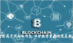 打造属于你的冷钱包：保护数字资产的完美指南