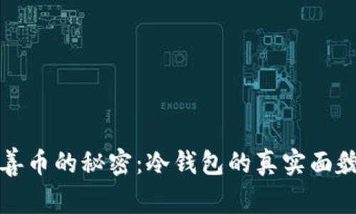 探索慈善币的秘密：冷钱包的真实面貌与潜能