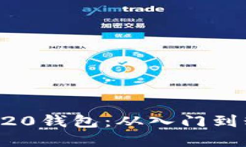 如何轻松搭建TRC20钱包：从入门到精通的全方位指南