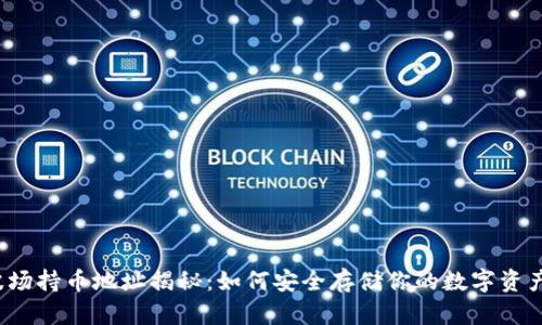 波场持币地址揭秘：如何安全存储你的数字资产？