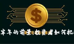 Solana币在下半年的前景：投资者如何把握机会与