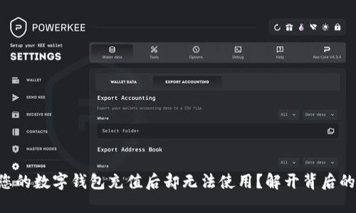 为何您的数字钱包充值后却无法使用？解开背后的秘密！
