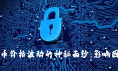 揭开虚拟币价格波动的神秘面纱：影响因素全解