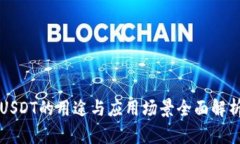 USDT的用途与应用场景全面解析