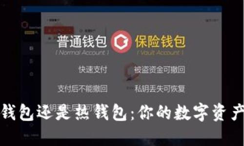 TP钱包选择冷钱包还是热钱包：你的数字资产保管最佳方案